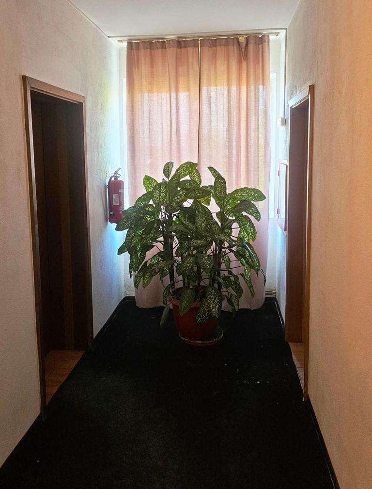 הוסטל קריובה Casablanca מראה חיצוני תמונה